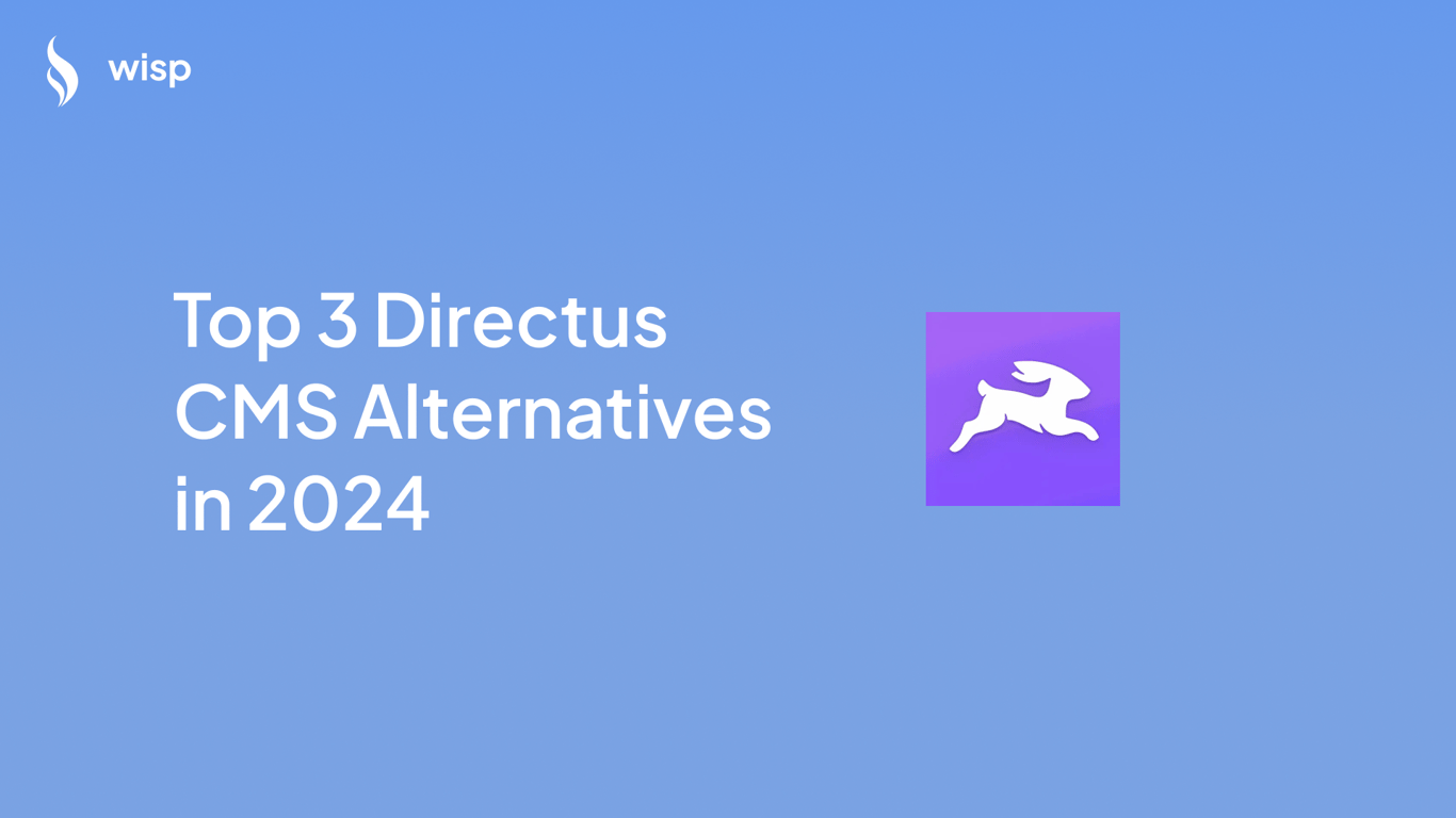 Top 3 Directus CMS Alternatives for 2024