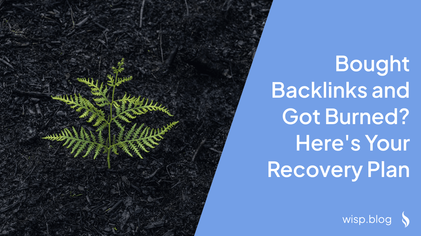 Bought Backlinks and Got Burned? Here's Your Recovery Plan